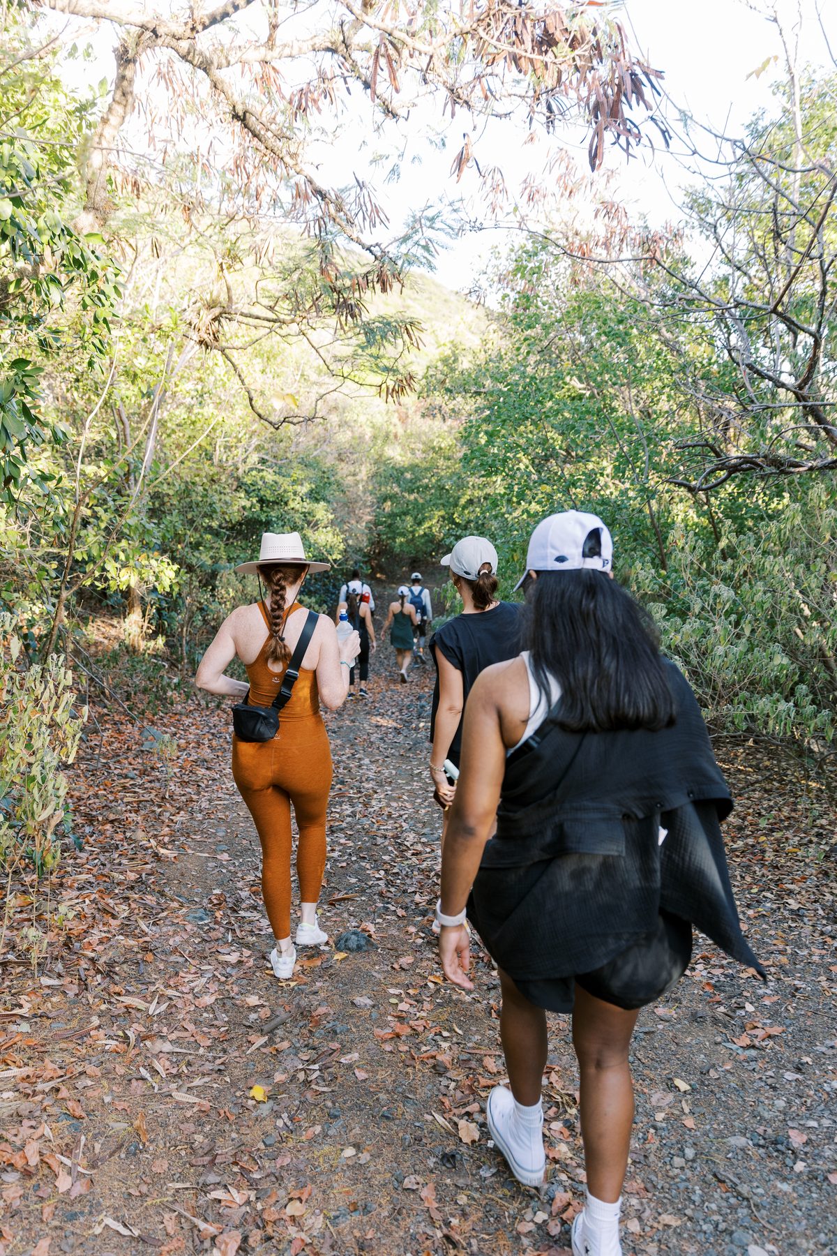 On the Mount Royal trail